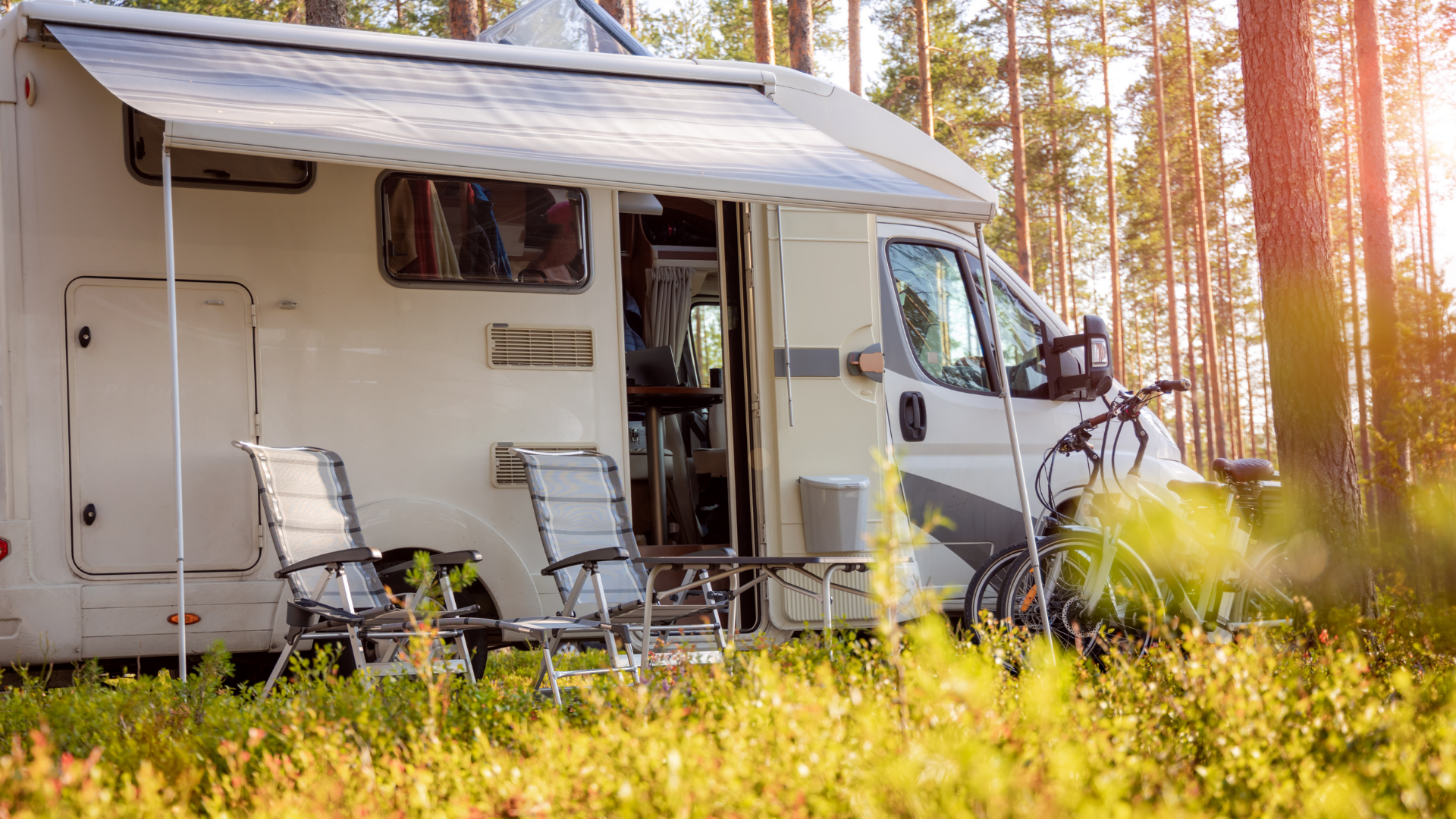 Camping-car installé dans une pinède